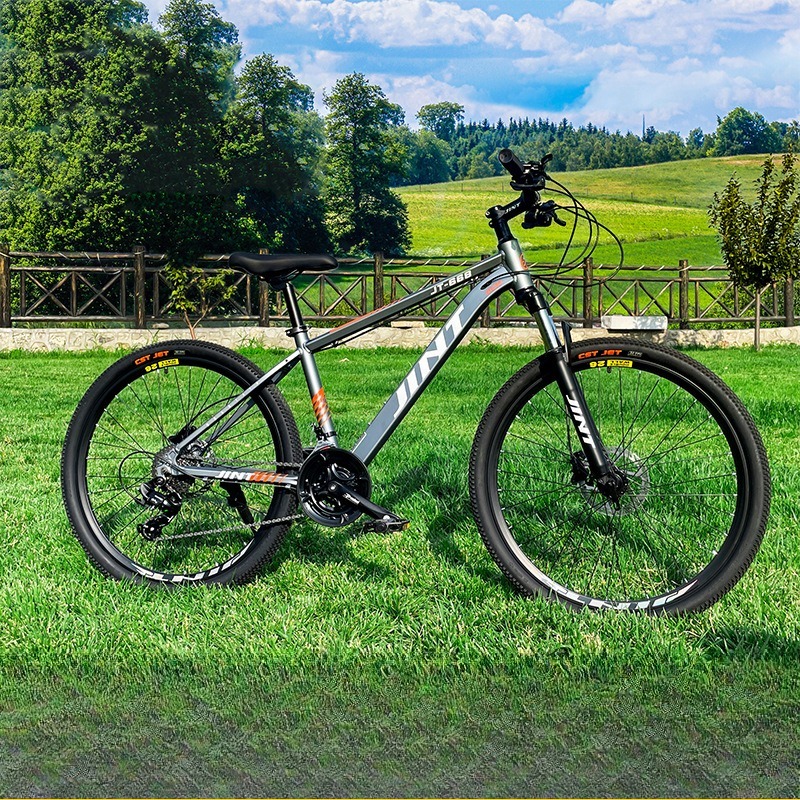 Groothandel Aluminium Alloy 26 - Commuter Biking recensie en prijs